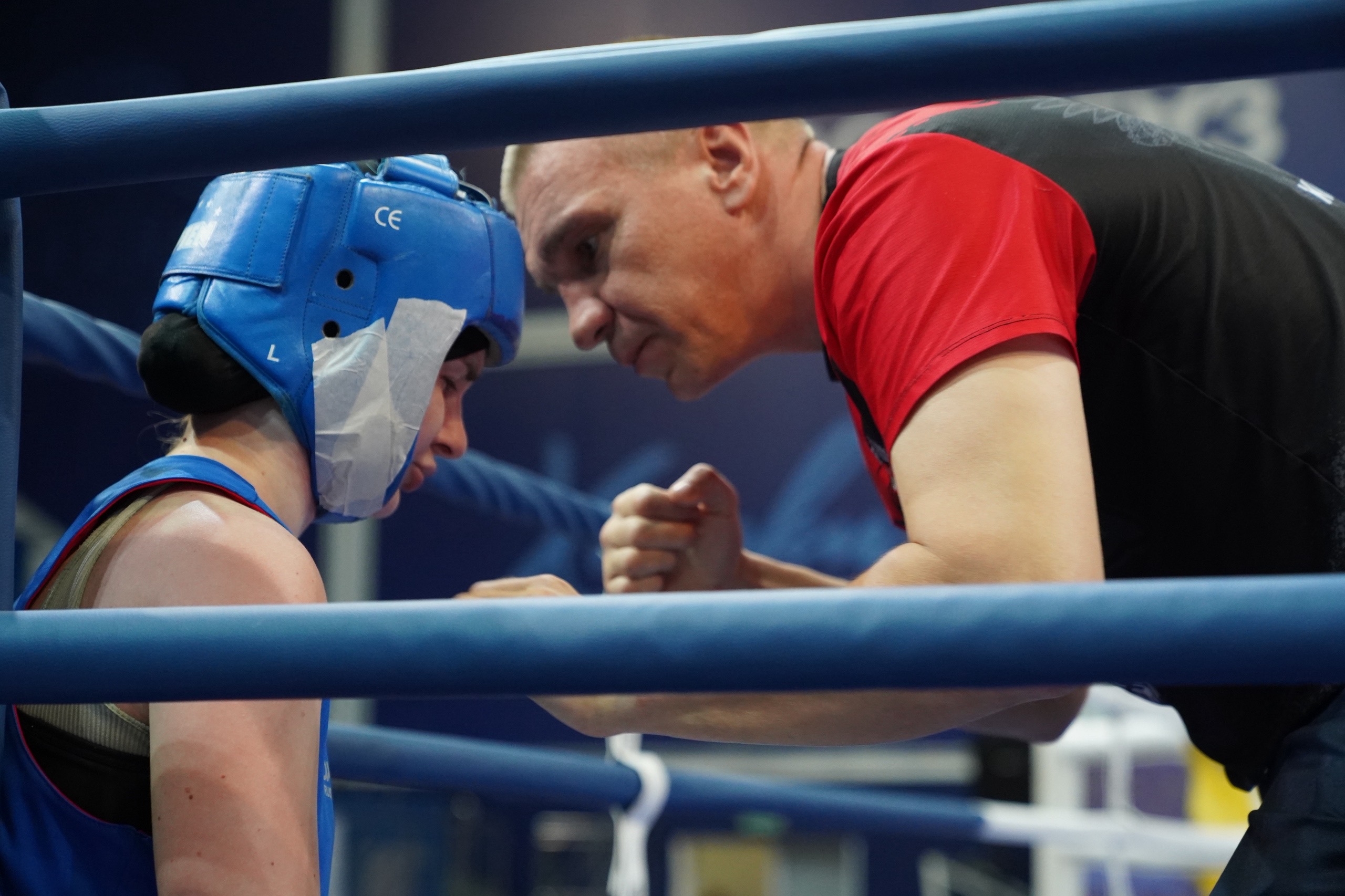 Чемпионат ЦФО России по боксу на призы Олимпийского чемпиона Александра Борисовича Лебзяка среди мужчин и женщин в Химках.